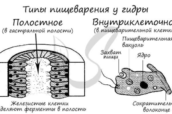 Мега сайт анонимных покупок для айфона