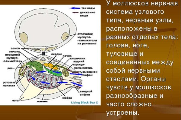 Нова ссылка кракена