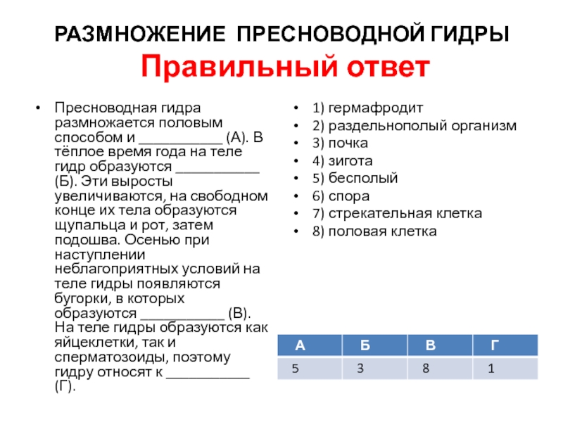 Создатель меги сайта